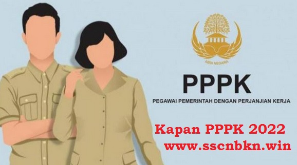 Peluang Peserta Non Prioritas dalam Seleksi CPNS PPPK 2022