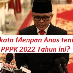 Menpan Anas Ungkap Seleksi PPPK dimulai Akhir September 2022, Tenaga Kesehatan Dahulu